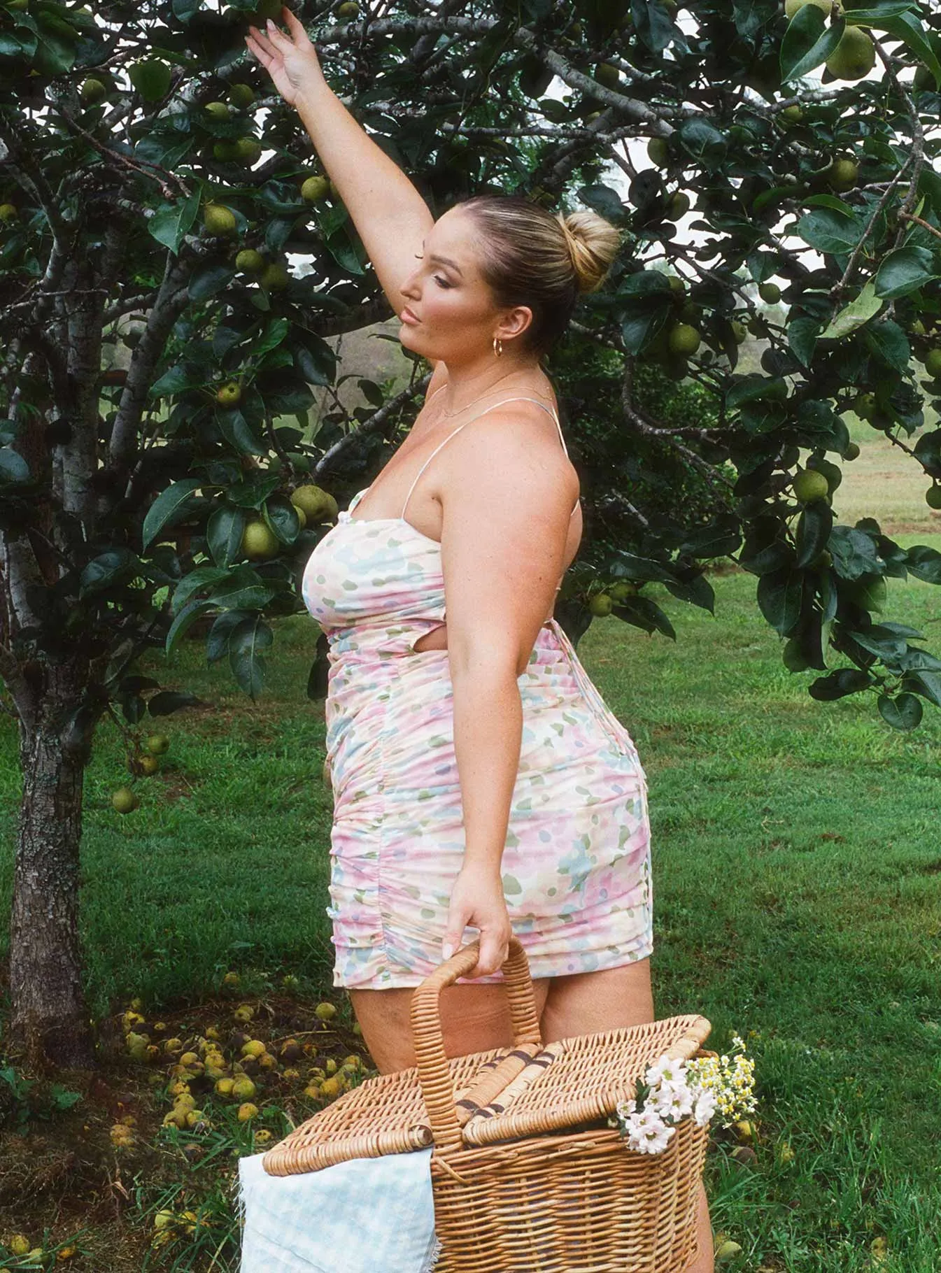 Hopeless Romantic Mesh Ruched Mini Dress Multi Curve Smart Casual Signature-Style