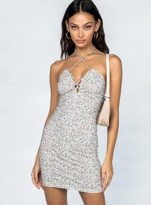 Kane Mini Dress Multi Chilly Day Layers