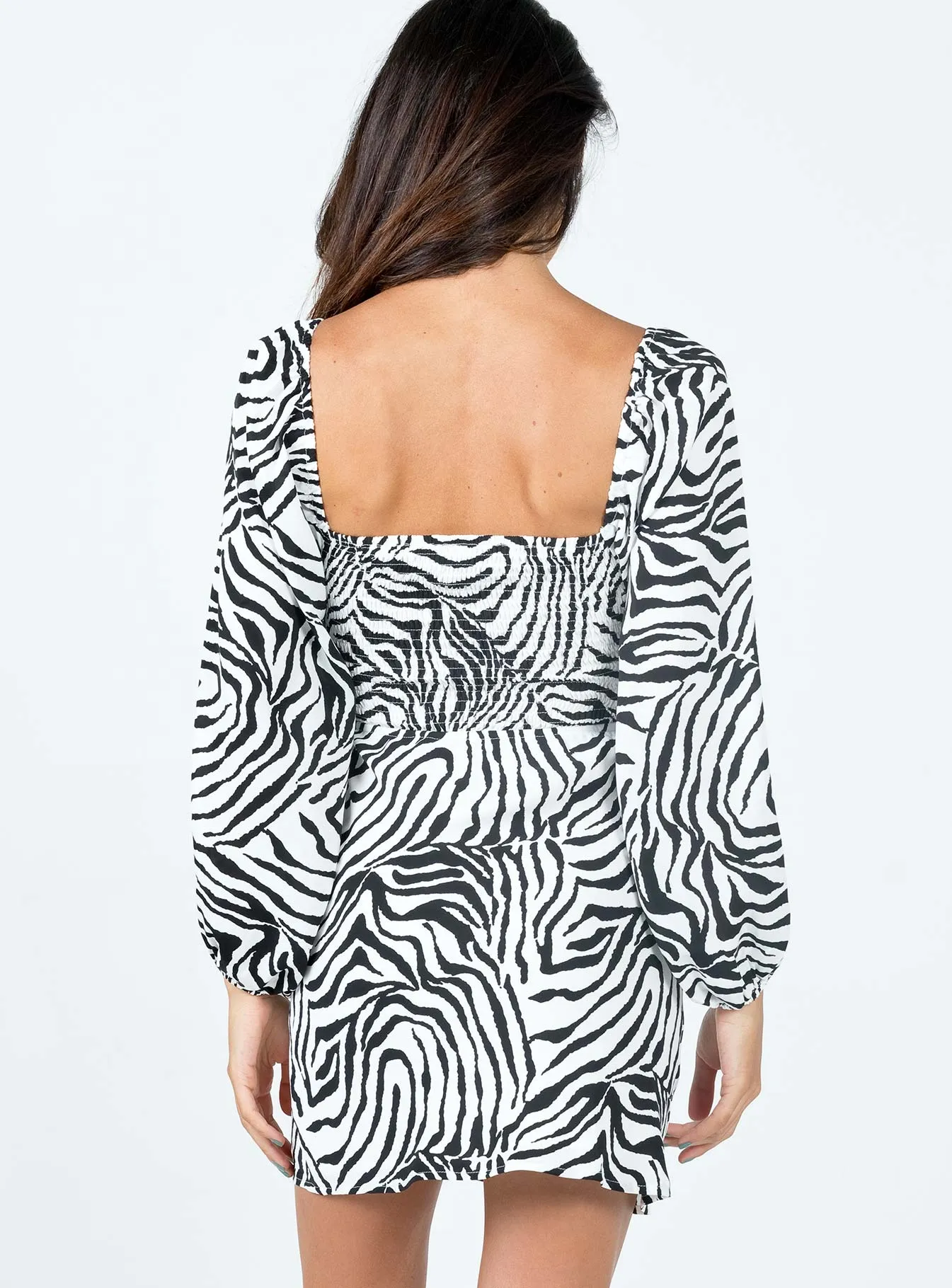 Nakita Long Sleeve Mini Dress Zebra Flattering Waist Design Comfortable office piece