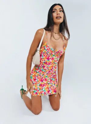 Celena Mini Dress Rainbow Floral Soft Tone