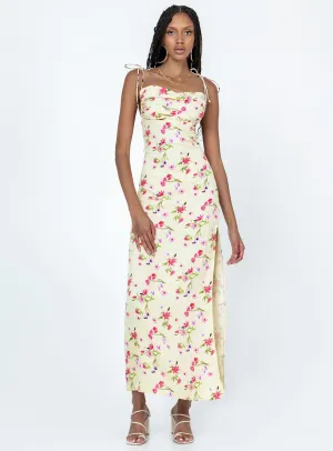 Sophisticated Wear Lightweight Feel Arness Maxi Dress Yellow Floral