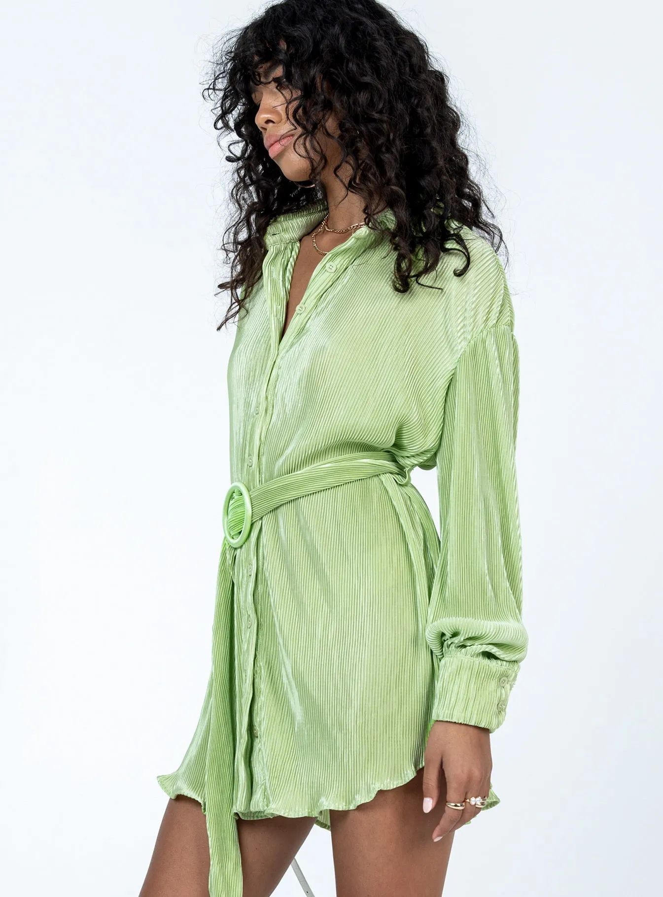 Edena Mini Dress Green Casual Fit
