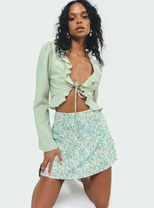 Fern Mini Skirt Multi Influencer Style